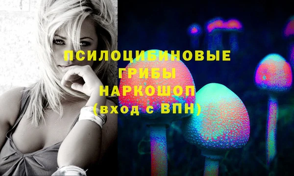 соль курить ск Белокуриха