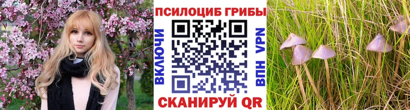 Псилоцибиновые грибы Magic Shrooms  Куртамыш 